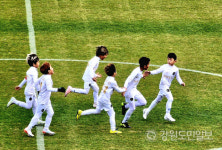 [현장 컷] 제26회 리틀K리그 전국유소년 축구대회 왕중왕전