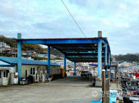 안전진단 D등급 동해 묵호항 문어위판장, 내년 신축한다