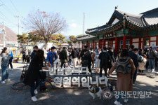 영월로 열차타고 떠나는 반려견 동반열차 댕댕트레인여행 성료