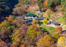 천년 역사의 숨결, 삼척에서 깨어나다
