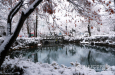 폭설이 반가운 태백, 개막 앞둔 태백산눈축제 준비 한창