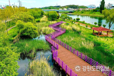동해시 전천 흉물 폐철교, 랜드마크 테마공원으로 변신 시도