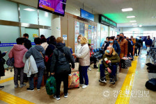 국제카페리 모항 동해항 국제여객터미널, 전문업체 위탁운영 시작