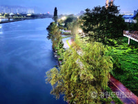 동해시 젖줄 전천 인근 사계절테마파크 조성사업 속도