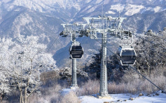 정선 가리왕산 케이블카, 강풍에 공포의 24분 비정상 운행
