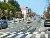 동해지역 도심 4개 구간 4km 에 노란색 꽃길 Yellow city 조성