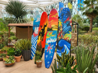 [WE+] 익사이팅한 리사이클링, 양양 청년이 나선다