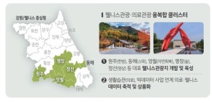 27만명 다녀간 강원 웰니스 의료 날개 단다
