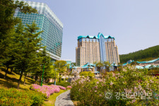하이원리조트, 봄맞이 다양한 패키지·프로모션 상품 출시