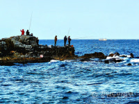 동해 대진항 익수자 구조… 최근 동해안 해양사고 4건 잇따라