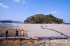 [동해안 역사문화 리포트] 3. 동해 바닷가에 향나무를 묻다
