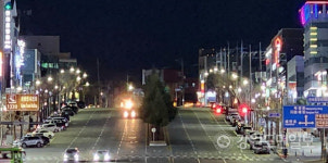 운전자 시야 방해 동해시 천곡동 중앙분리대 가로수 전면 교체키로