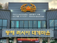 어린이날 킹크랩 반값에 드세요…동해항 킹크랩페스타 개최