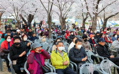 [현장컷] 벚꽃명소 동해 부곡동 수원지서 유천문화축제 성료