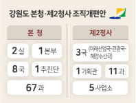 강원도청 제2청사 3국·1기획관·11과 체제 조직개편
