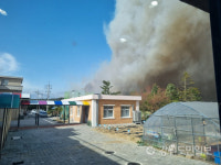 학교 집어삼키는 화마…강릉 산불에 경포대초교 긴급 대피