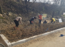평창 운교1리 쓰레기 더미 속 피어난 꽃밭