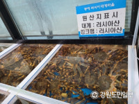 동해항 러시아산 수산물 거점 산업단지 활성화 기대