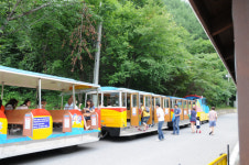 무더위 싹 날리는 방법?… 가장 시원한 도시 태백의 용연동굴을 아시나요