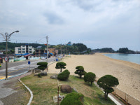 삼척 쏠비치 주변 마을에 먹거리타운 조성 추진