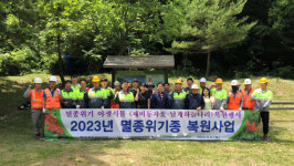 원주환경청 멸종위기 야생식물 150개체 심어