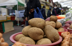 [최경진의 리빙+] 서민 음식 감자, 맛·영양은 부자… 위 건강·혈압 조절·피부미용에 제격
