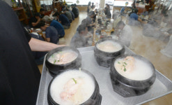 초복에 삼계탕 먹기 겁나네… 닭·오리고기 가격 1년전 보다 10%이상 상승