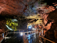 폭염 속 태양을 피해 바다 보다는 시원한 동굴·계곡 찾는 피서객 늘어