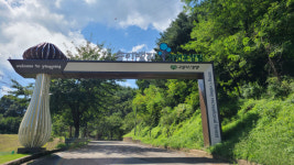 양양 송이밸리자연휴양림 엑스포 로드 경관조성