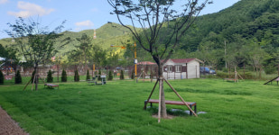 최고의 베스트 드레서 댕댕이는 누구… 태백서 반려동물 문화행사 열려