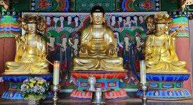 동해 삼화사 삼존불좌상·복장유물, 강원특자도 유형문화재 지정
