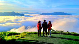 [객원기자 화보]  사방이 가을