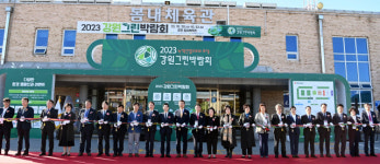 강원 핵심 그린산업 집중조명 그린라이트 점등