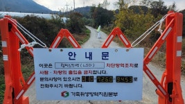 양구 한우농가서 강원도내 첫 럼피스킨병 확진