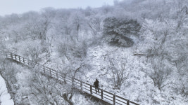 발왕산에 내린 겨울