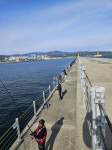 준공 10년만에 개방 삼척 호산항 방파제 낚시터서 짜릿한 대물 손맛