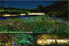 빛 테마파크 조성 동해 추암해변 밤밤곡곡 100선 선정