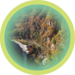 천혜의 산림자원 속 힐링 가득 국가정원 도시 만든다