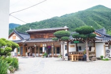 감칠맛 한 스푼, 토속향 스며든 강원맛 침샘폭발