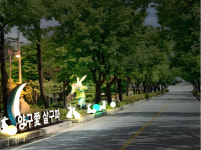 양구 레포츠공원 경관조명 관광명소 모색