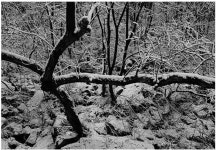 겸재, 앗제와 만나다 안팎에서 바라본 정선