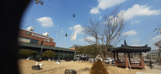 횡성 읍상리서 산불…30여분 만에 진화