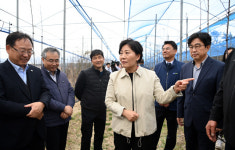 떠오르는 사과 산지 강원, 중심산업 육성 적극 지원