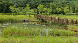 4월 생태관광지 어디? 전북 고창 고인돌 유적과 운곡습지