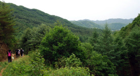 바다의 봄·산의 봄 발로 누빈 강원 세세하게 서술