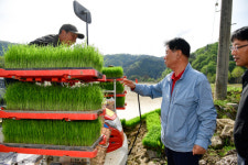 화천지역 첫 모내기…  본격 영농시즌 돌입