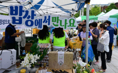 강원 농가 직접 짠 들기름, 직거래 매장서 만날 길이 열린다