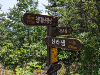 [WE+] 푸르름 머금은 천연전망대, 발아래 속초 한가득