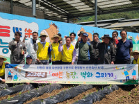 영월 축사환경 개선 벽화 그리기 구슬땀