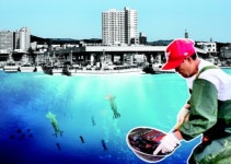 [뉴스 플러스+] 오징어 성지 주문진 옛말… 발길 끊긴 식당 주문 뚝